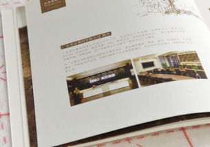 藝之光設(shè)計(jì) 以專業(yè)畫冊設(shè)計(jì)賦能食品企業(yè)品牌與招商